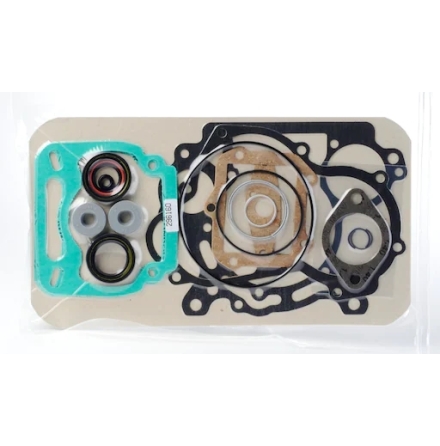 PACKNINGSSATS MOTOR ROTAX DD2  (46)