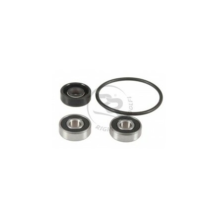 IAME X30  REBUILD KIT FOR WATER PUMPS