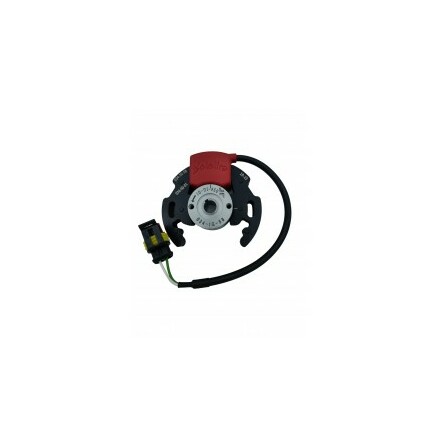 GR3 IGNITION SELETTRA ASSY, ENGINE 60CC